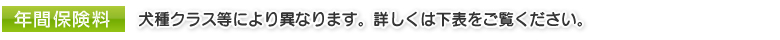 �N�ԕی���