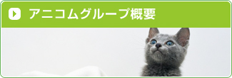 アニコムグループ概要