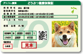 どうぶつ健康保険証