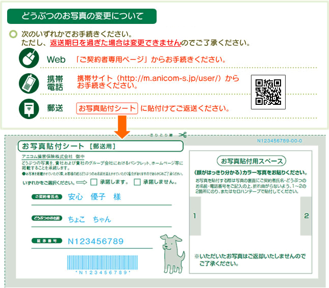 どうぶつのお写真の変更について