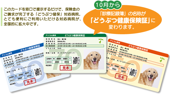 「診療記録簿」用のお写真について　3つの方法からお選びください。