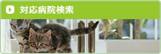 対応病院検索