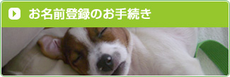 お名前登録のお手続き