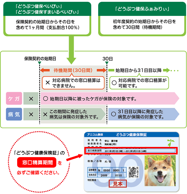「窓口精算ができない期間とは？」「どうぶつ健保べいびぃ」初年度契約の始期日からその日を含めて1ヶ月間（100%補償期間）「どうぶつ健保ふぁみりぃ」初年度契約の始期日からその日を含めて30日間（初年度待機期間）※アニコムクラブの「どうぶつ健保」共済契約からの切替の場合を除きます。窓口精算期間　必ずご確認ください。ケガの場合：初日から補償します！※始期日以降に発生したケガが対象です。病気の場合：31日目より補償します！※31日目以降に発症した病気が対象です。