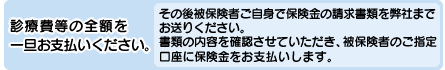 診療費全額をお支払いください。
