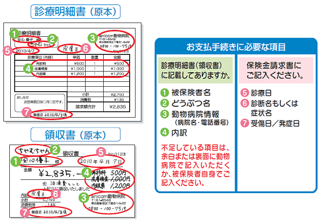 診療明細書（原本）　領収書（原本）