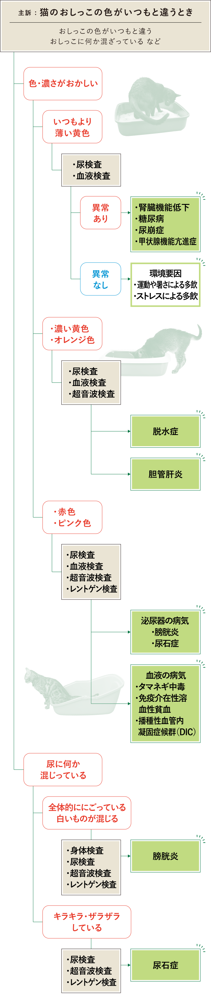 猫 おしっこ色 フローチャート