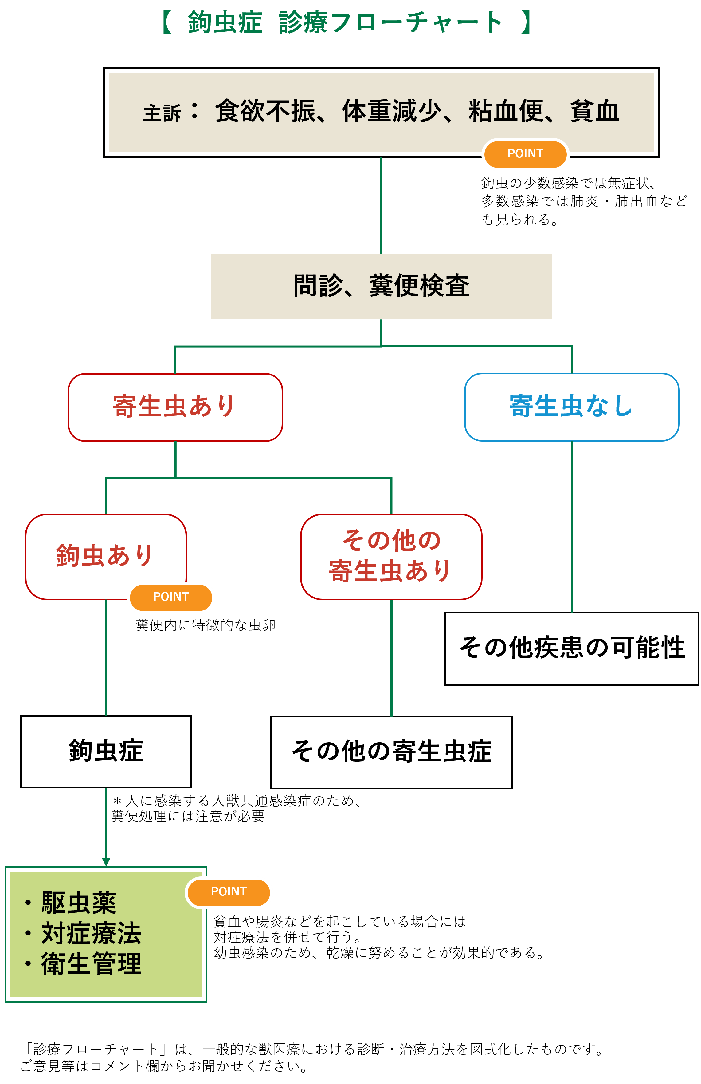 【鉤虫症】フローチャート