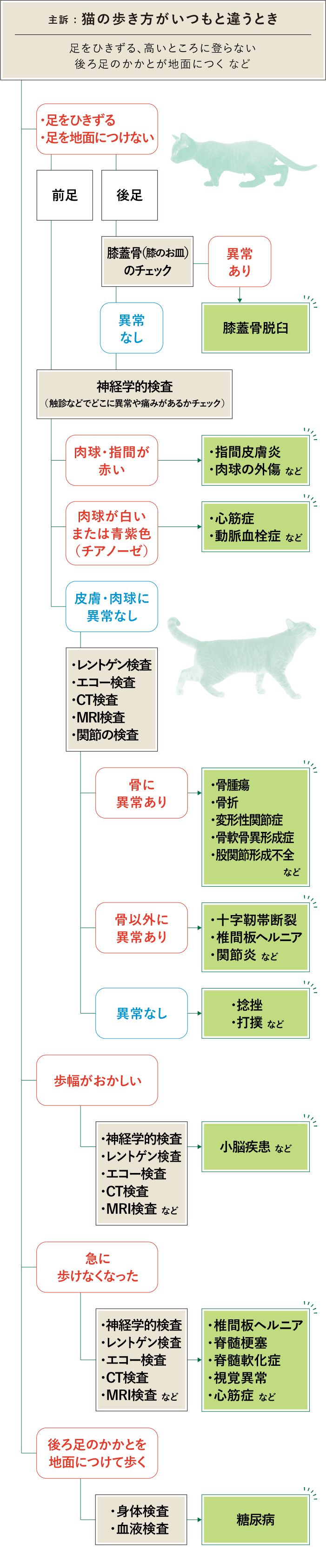 猫 歩き方 フロチャ画像