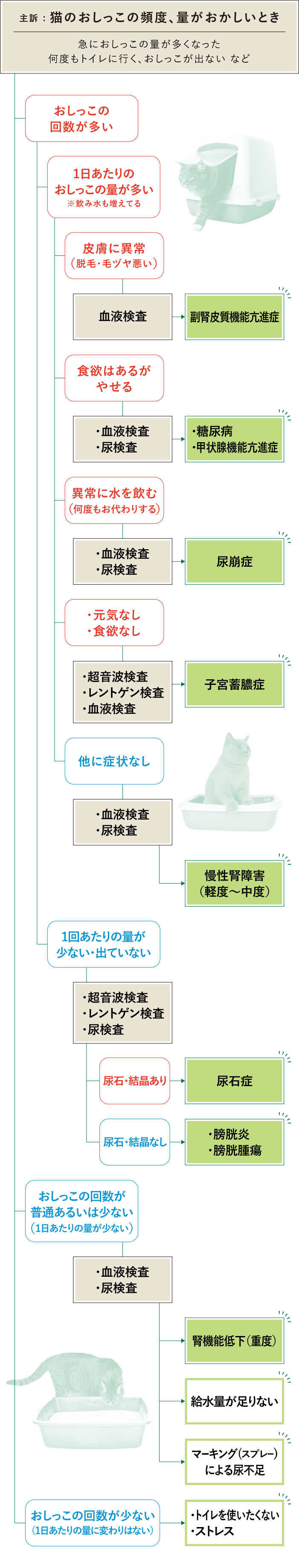 猫 おしっこ頻度 フロチャ