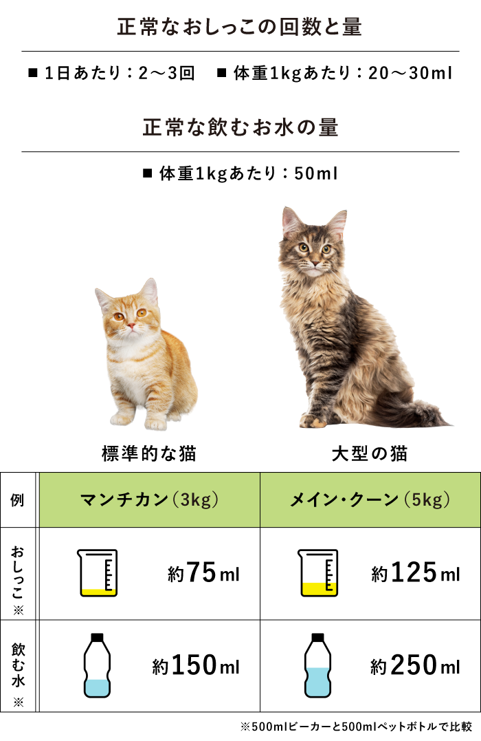 猫 おしっこ頻度