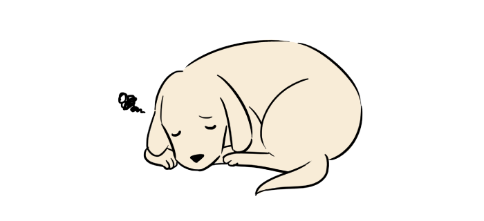 元気がない、犬がぐったりしている