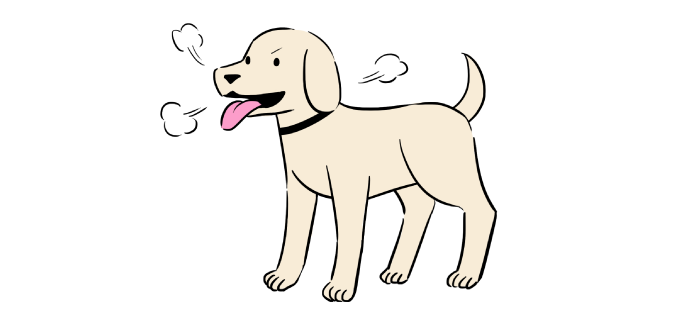 パンティングしている、犬がハァハァとしている