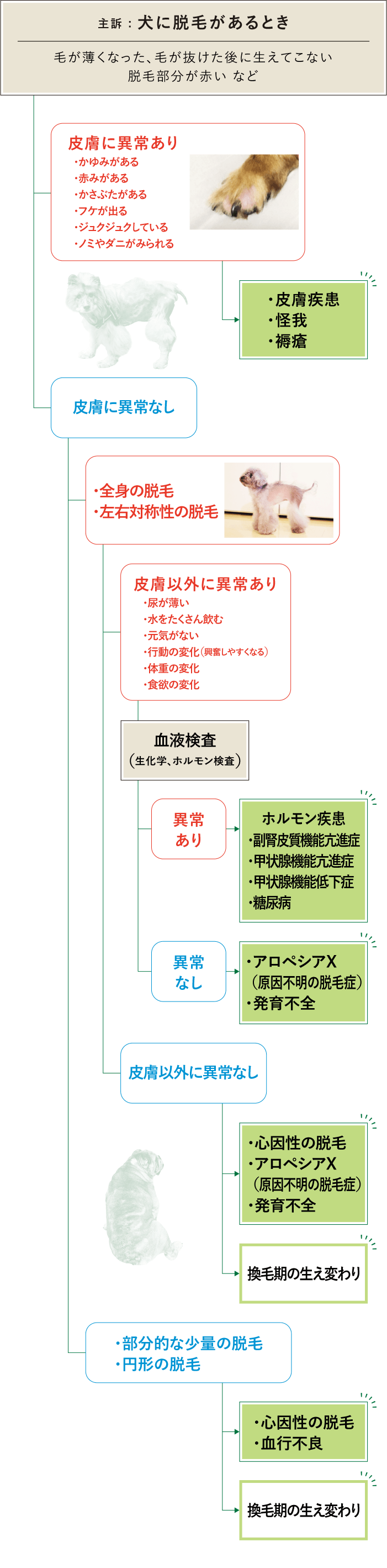 脱毛 フローチャート