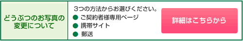 どうぶつのお写真の変更について