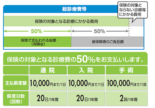 総診療費等　保険の対象となる診療費の50%をお支払いします