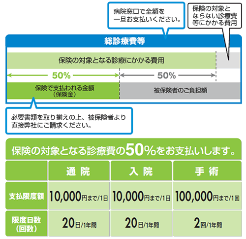 総診療費等　保険の対象となる診療費の50%をお支払いします