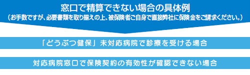 窓口で精算できない場合の具体例　「どうぶつ健保」未対応病院で診療を受ける場合　対応病院窓口で保険契約の有効性が確認できない場合