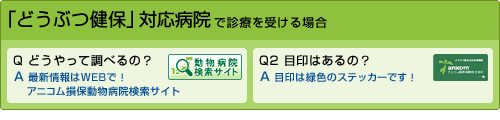 アニコム損保対応病院で診察を受ける場合