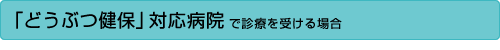 アニコム損保未対応病院で診療を受ける場合