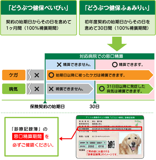 「窓口精算ができない期間とは？」「どうぶつ健保べいびぃ」初年度契約の始期日からその日を含めて1ヶ月間（100%補償期間）「どうぶつ健保ふぁみりぃ」初年度契約の始期日からその日を含めて30日間（初年度待機期間）※アニコムクラブの「どうぶつ健保」共済契約からの切替の場合を除きます。窓口精算期間　必ずご確認ください。ケガの場合：初日から補償します！※始期日以降に発生したケガが対象です。病気の場合：31日目より補償します！※31日目以降に発症した病気が対象です。