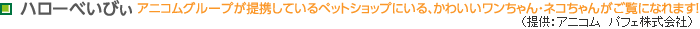ハローべいびぃ