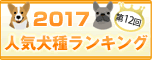 第6回 2010　人気犬種ランキング