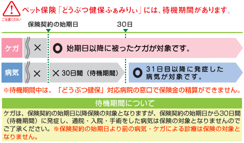 補償開始にあたり、ペット保険「どうぶつ健保ふぁみりぃ」には、待機期間があります。