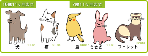 犬・猫・鳥・うさぎ・フェレットの5種類がご契約いただけます。新規保険契約始期日時点での満年齢が、犬・猫は10歳11ヶ月、鳥・うさぎ・フェレットは7歳11ヶ月までとなります。