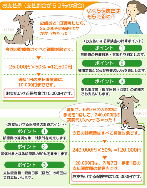 補償例1　皮膚炎で通院　補償例2　腸捻転による摘出手術・入院10日間