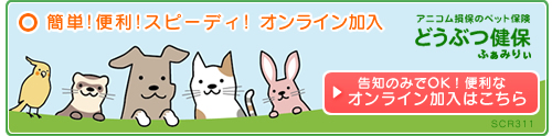 簡単!便利!スピーディ!オンライン加入