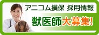 アニコム損保採用情報 獣医師大募集