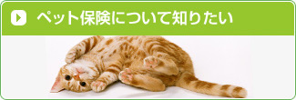 ペット保険について知りたい