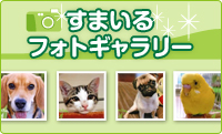 すまいるフォトギャラリー