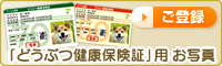 診療記録簿用写真ご登録