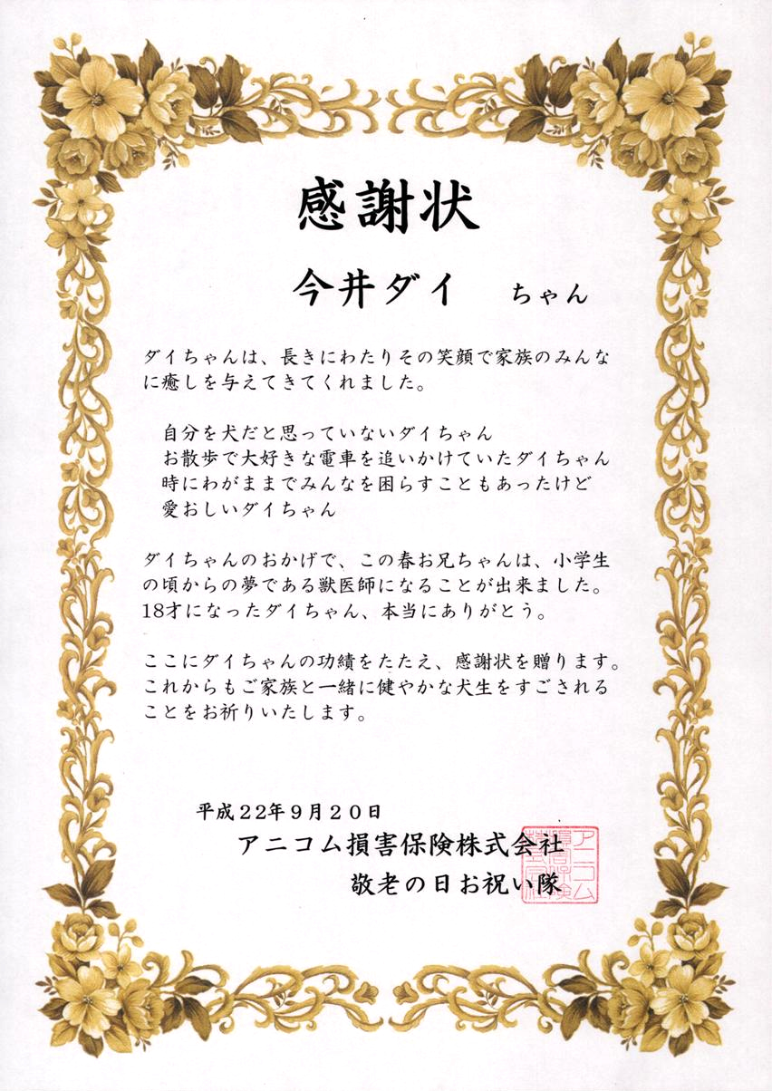 ペット保険 の掲示板投稿写真＆画像