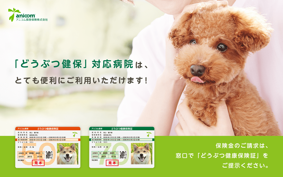 アニコム損害保険株式会社