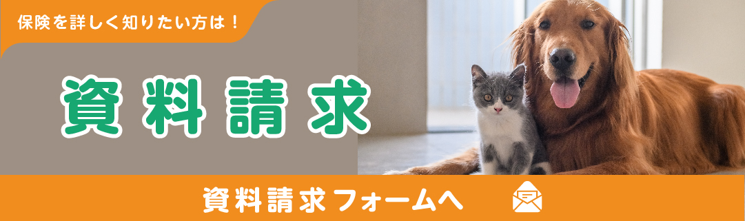 資料請求