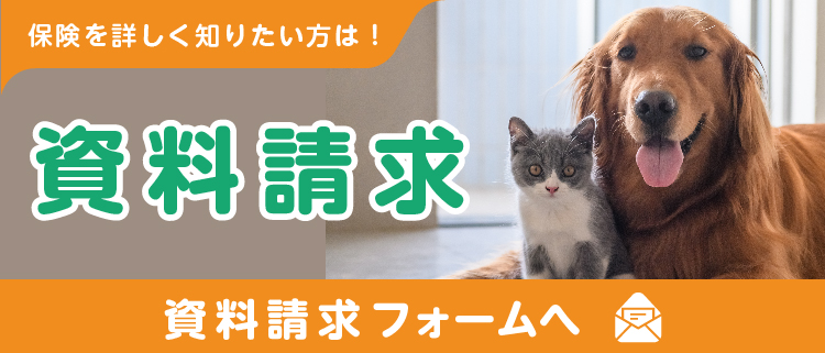 資料請求