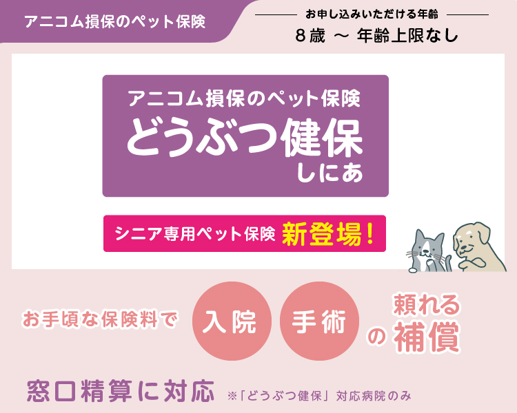 どうぶつ健保しにあ