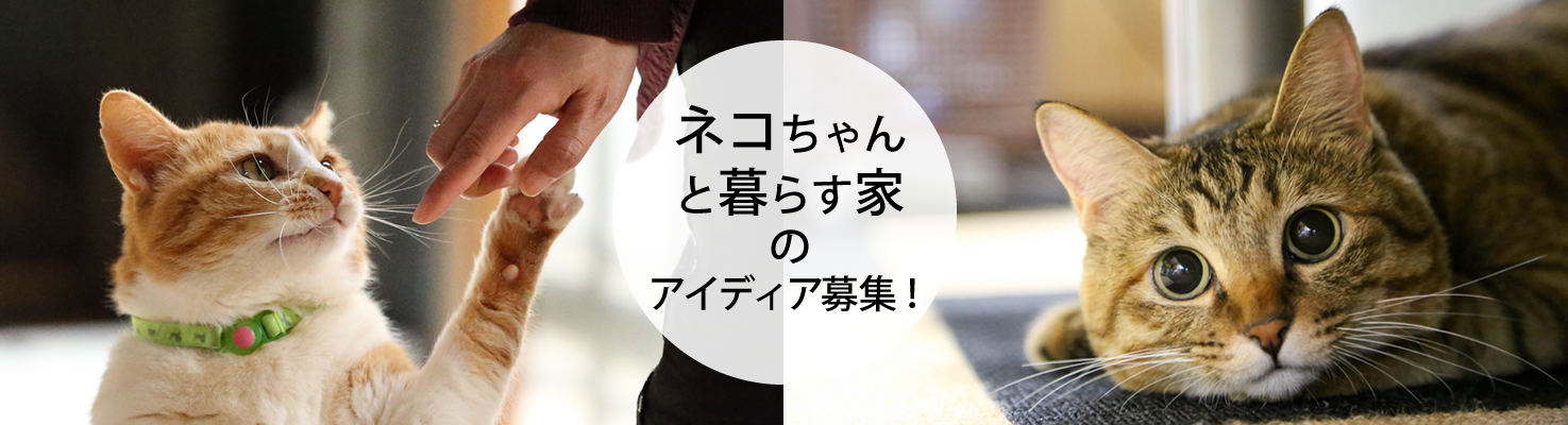 ͥ餹ȤΥǥ罸