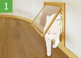 ļͳ