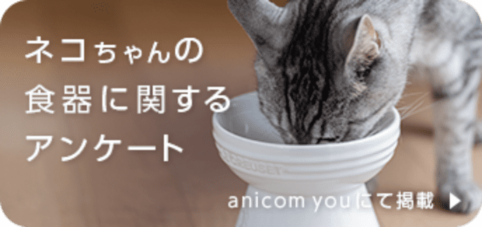 ネコちゃんの食器に関するアンケート
