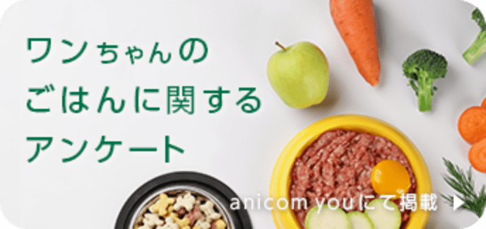 ワンちゃんのごはんに関するアンケート