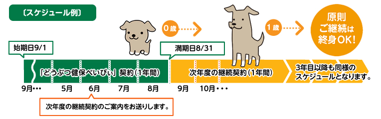 スケジュール例