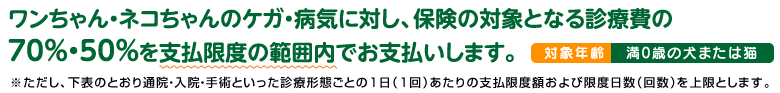 「どうぶつ健保べぃびぃ」