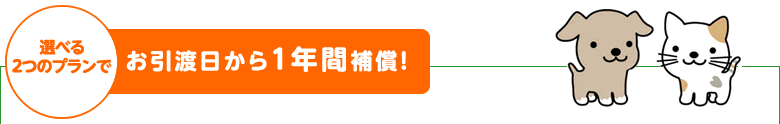 「どうぶつ健保べぃびぃ」