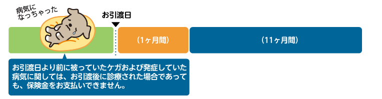 お引渡日より前に被っていたケガおよび発症していた病気に関しては、お引渡後に診療された場合であっても、保険金をお支払いできません。