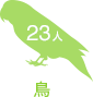 鳥