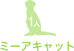 ミーアキャット